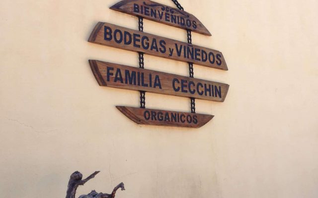 Wine bike tour Mendoza