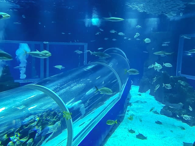 AquaRIO - Rio de Janeiro. Foto: Fui ser viajante