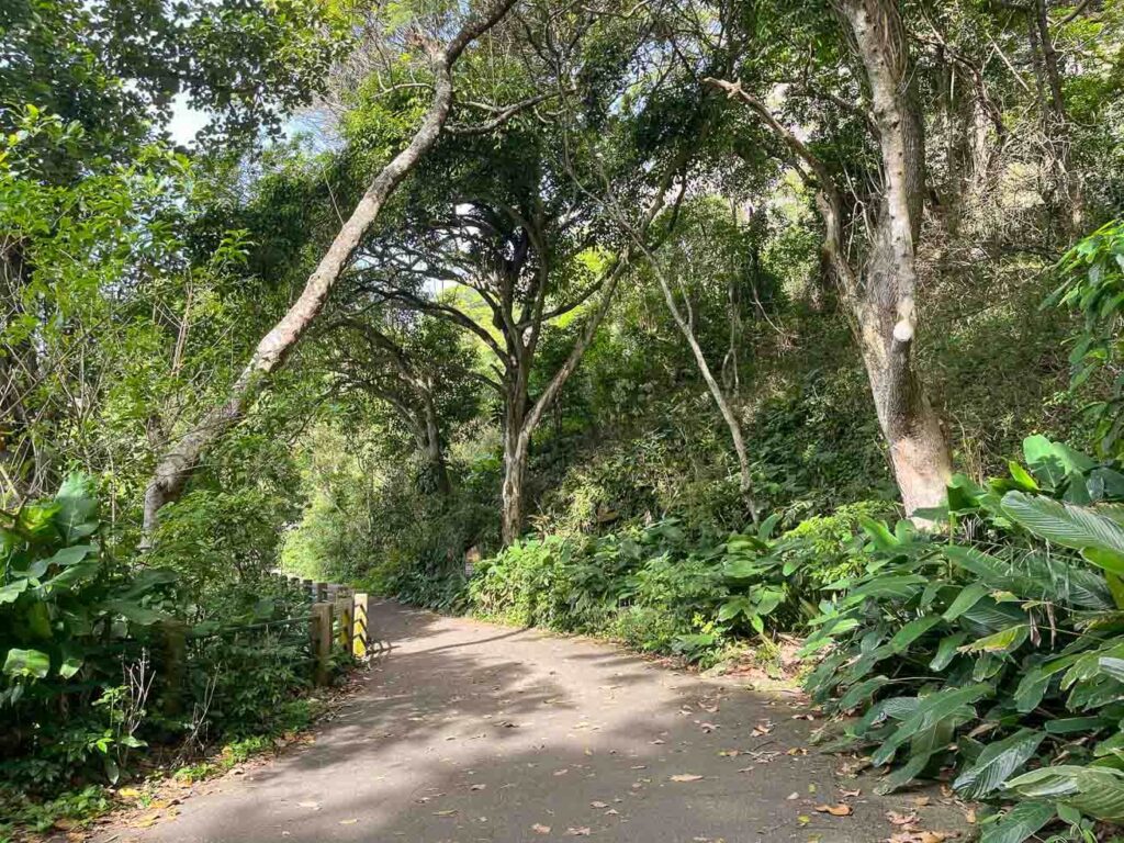 Pista Cláudio Coutinho. Foto: Fui ser viajante