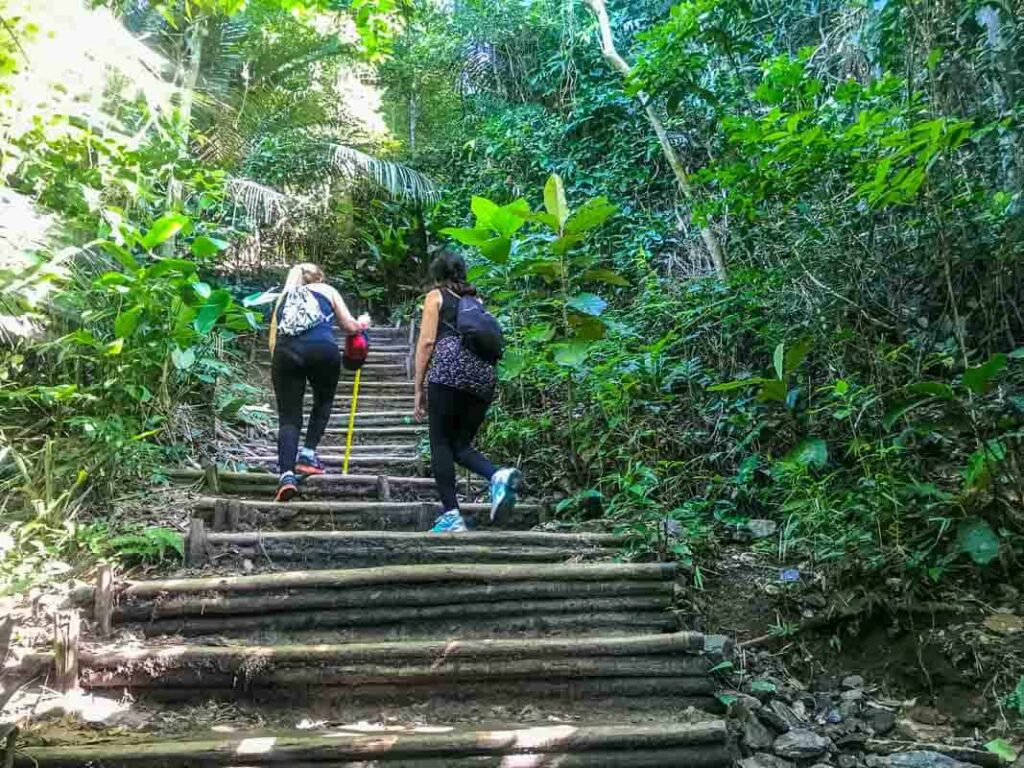 Degraus de madeira no início da subida da trilha Primeiros degraus da trilha. Foto: Fui Ser Viajante
