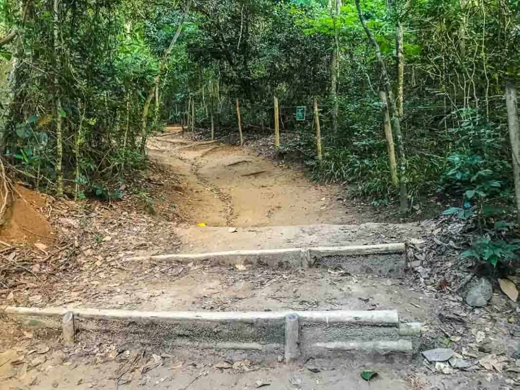 Trilha de terra e raízes na subida da mata Trecho de mata na subida da trilha. Foto: Fui Ser Viajante