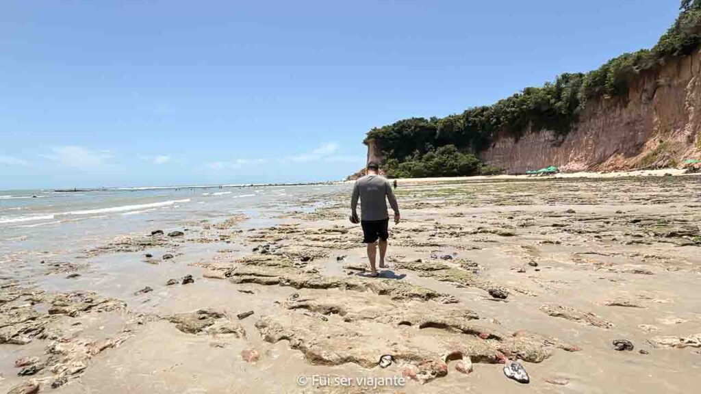 Caminhada da praia do centro à Baía dos Golfinhos